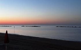 Le Ortensie In Centro E Vicino Al Mare
